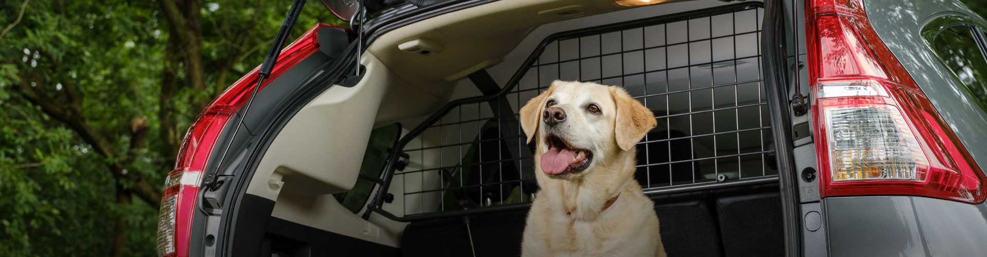 Hundegitter / Lastgitter